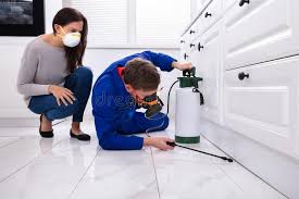 Professional Pest Control in Beecher, IL